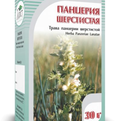 Панцерия шерстистая 30 гр. Хорст
